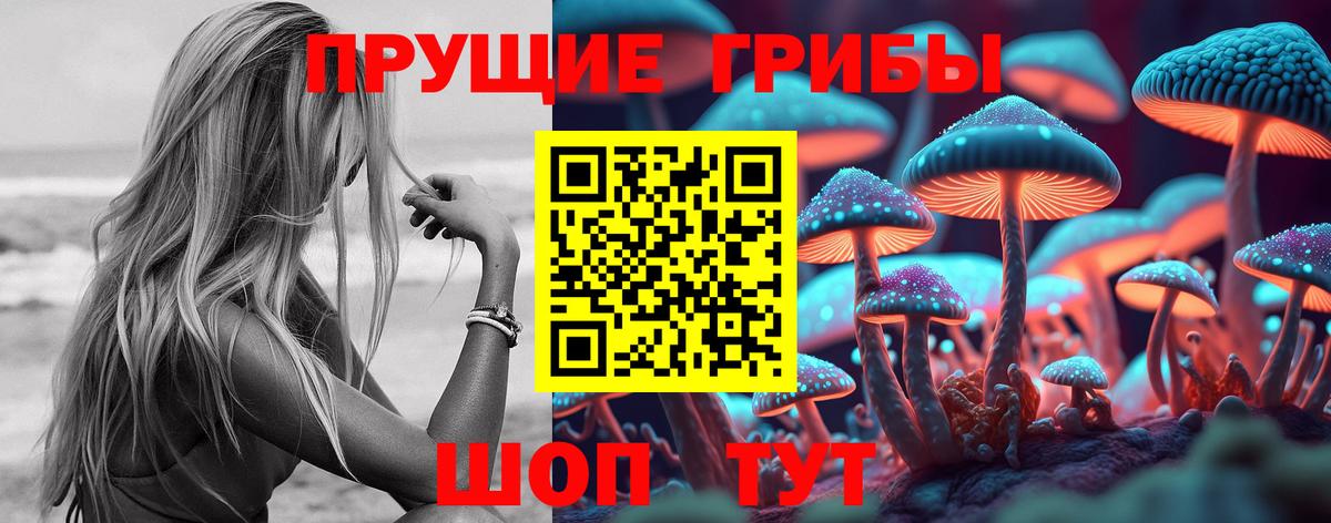 Псилоцибиновые грибы GOLDEN TEACHER Улан-Удэ
